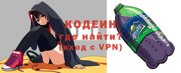 амф Бородино